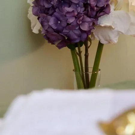 A Casa Di Grace 3* Базильо