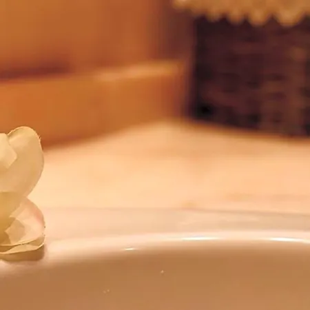 A Casa Di Grace Базильо